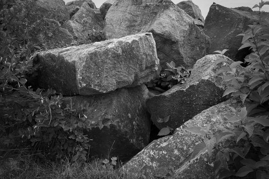 The Sound of Still Water